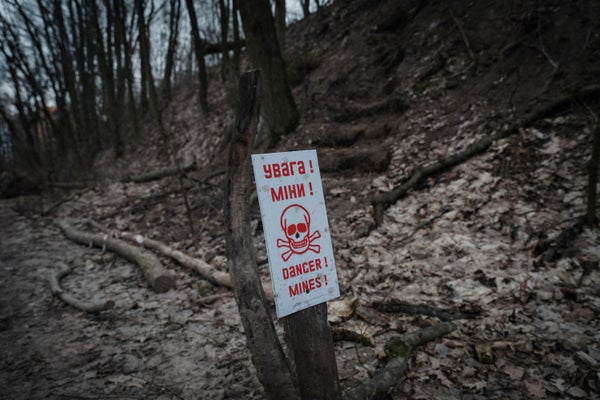 Red skull and crossbones sign in wooded area warning of landmines