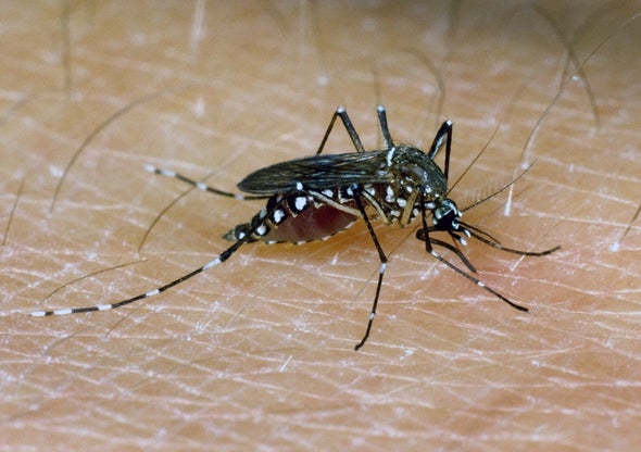 Human Diet Drugs Kill Mosquitoes' Appetite, Too