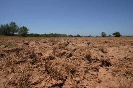A dried-up lake bed.