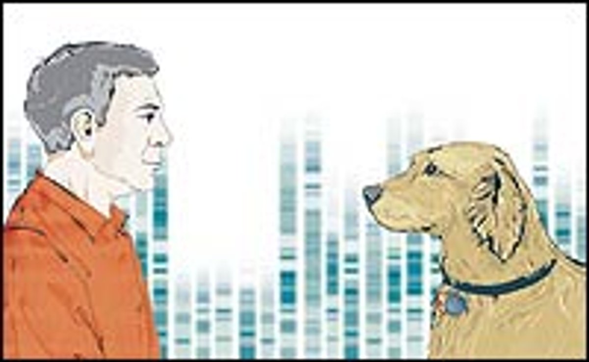 Cancer Clues from Pet Dogs | Scientific American