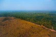 Amazon Deforestation Falls Where Land Is Under Indigenous Control
