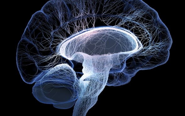 Seeking Cures for Terrible Brain Diseases