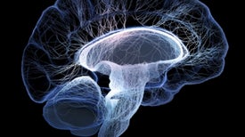 Seeking Cures for Terrible Brain Diseases