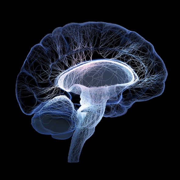 Seeking Cures for Terrible Brain Diseases