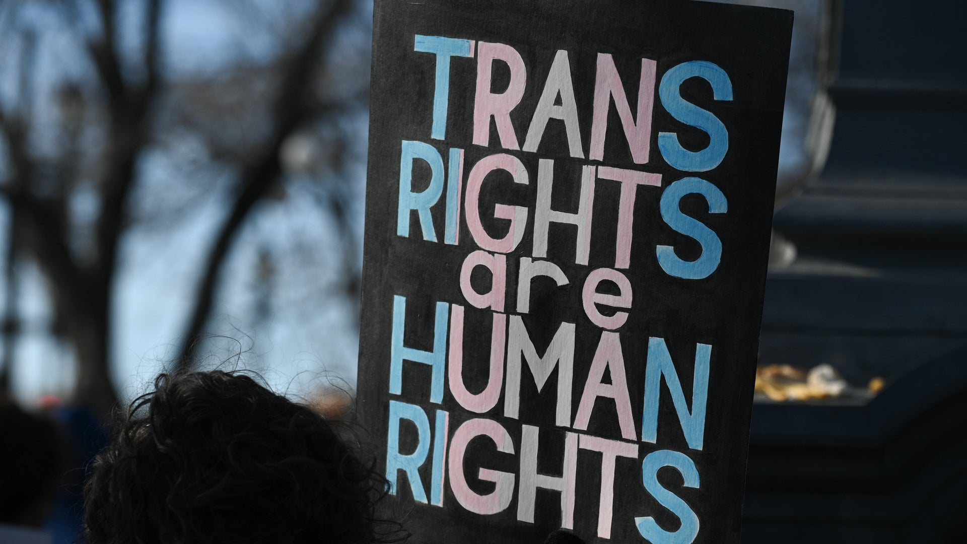 Pseudoscience Has Long Been Used to Oppress Transgender People | Scientific  American