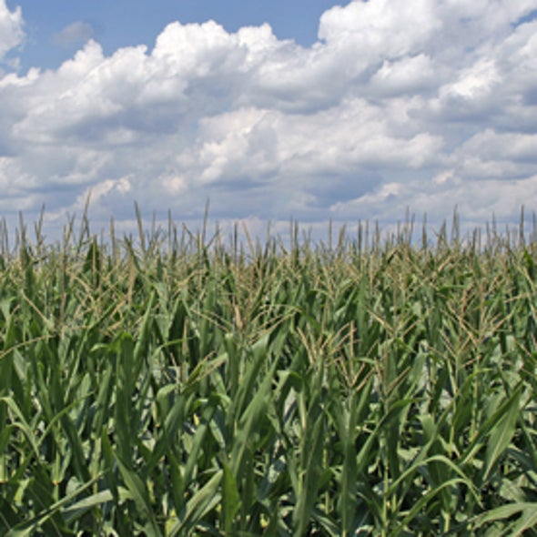EPA Edges into 15 Percent Ethanol Blend
