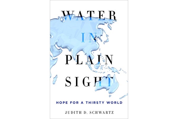 Water in Plain Sight book