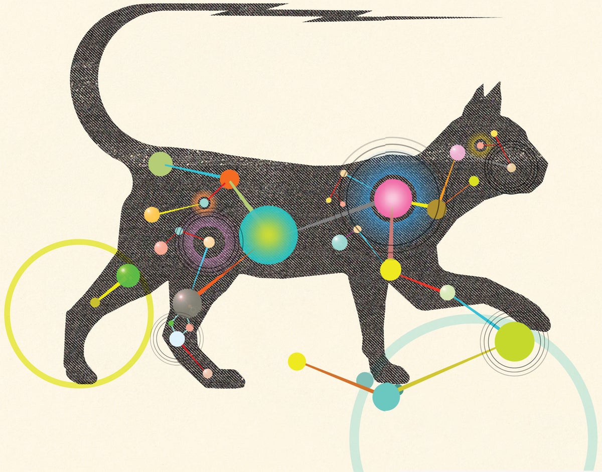 What Predicts If Dogs and Cats Can Live Happily Together?