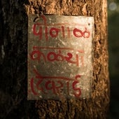Sign marking Ponad Kadya sacred grove.