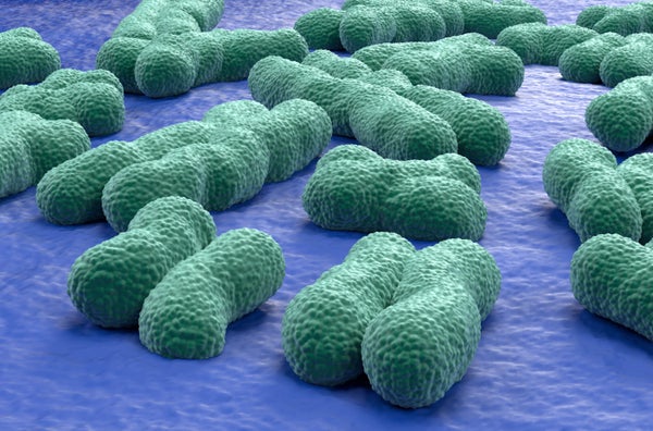 Closeup view 3d illustration of human chromosomes (23 + X, Y)