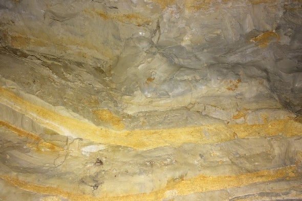 Dinosaur-Killing Meteorite Caused Acidification that Led to Mass Extinction