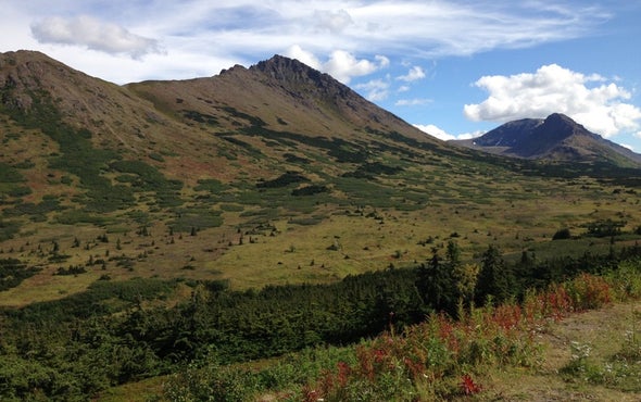 Needed: Info on Biodiversity Change over Time