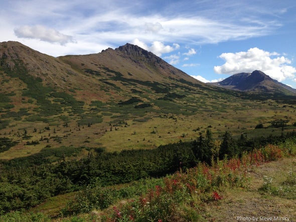 Needed: Info on Biodiversity Change over Time