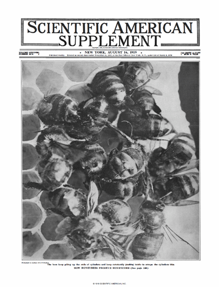 SA Supplements Vol 88 Issue 2276supp