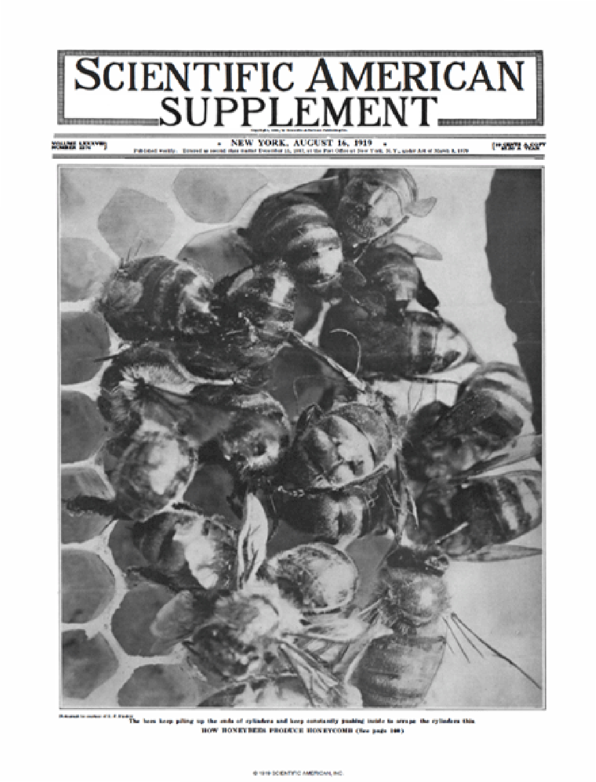 Scientific American Supplements Volume 88 Issue 2276supp Scientific