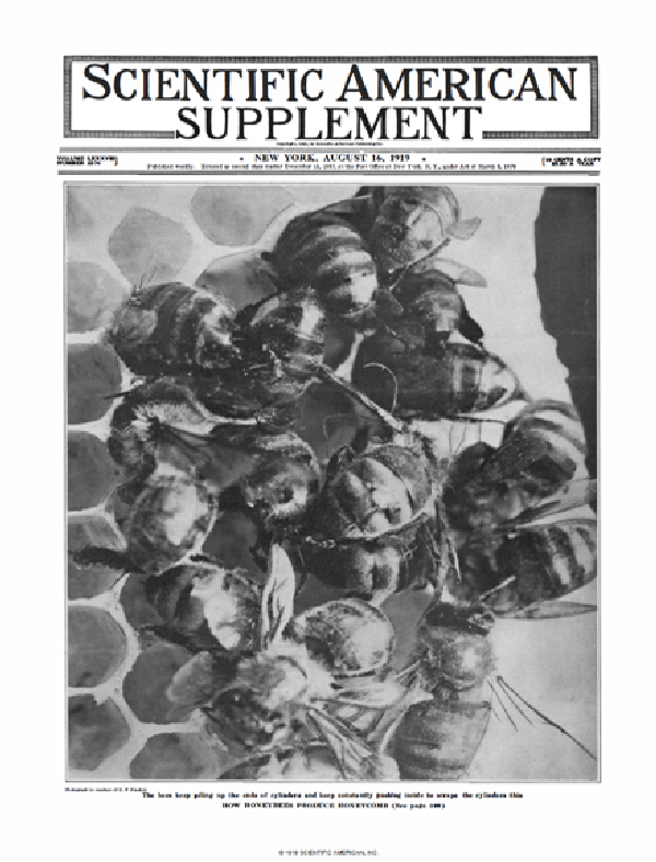 SA Supplements Vol 88 Issue 2276supp