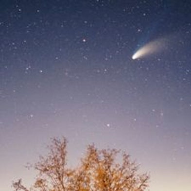 Many Solar System Comets May Have Been Swiped from Other Stars