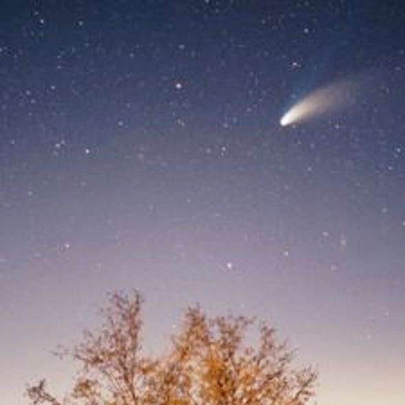 Many Solar System Comets May Have Been Swiped from Other Stars