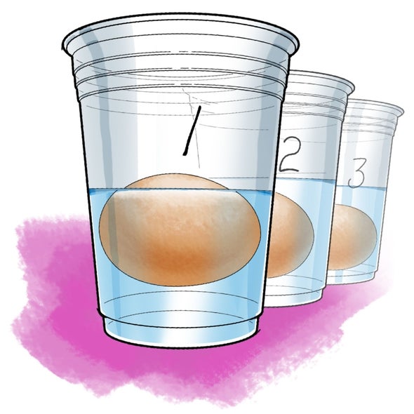 Salty Science Floating Eggs In Water Scientific American salty-science-floating-eggs-in-water-scientific-american