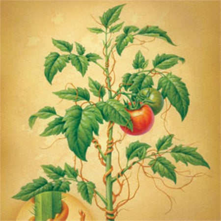 大众科学 Logo