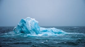 Giant Waves Change Arctic Ecology and Weather