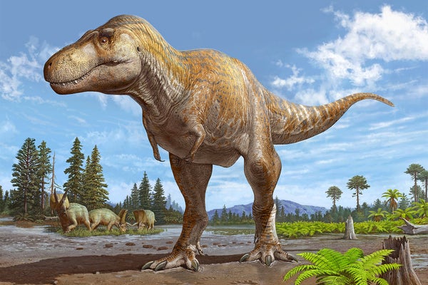Artist Illustration, reconstruction of Tyrannosaurus mcraeensis