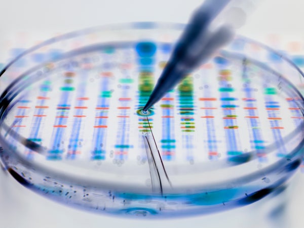 : Genetic research, conceptual image. Pipette adding a sample to a petri dish with a DNA (deoxyribonucleic acid) profile in the background