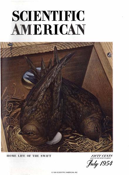 Scientific American Magazine Vol 191 Issue 1