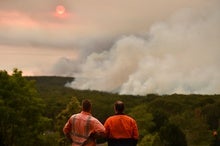 Smoke from Australia's Bushfires Killed Hundreds