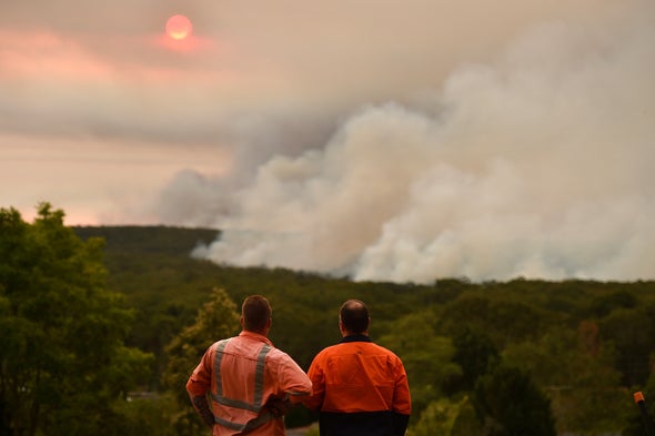 Smoke from Australia's Bushfires Killed Hundreds