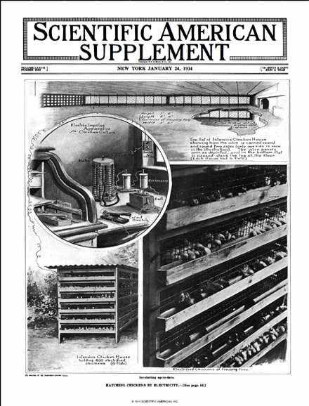 SA Supplements Vol 77 Issue 1986supp