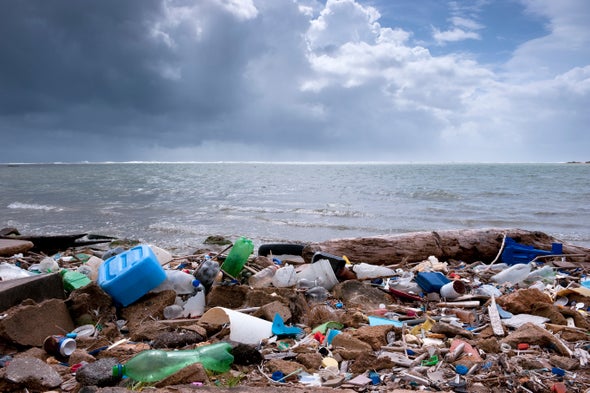 A Biodegradable Label Doesn't Make It So