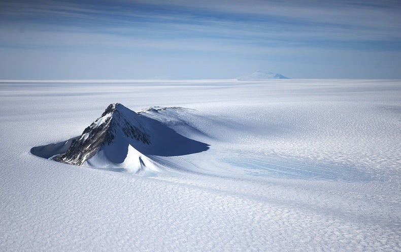 280-Million-Year-Old Fossil Forest Discovered in Antarctica – Like For ...