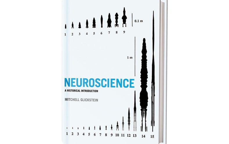 Book Review: Neuroscience - Scientific American