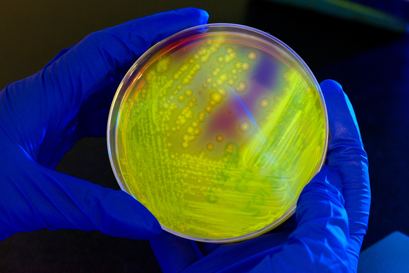 How Hospitals, Nursing Homes Keep Lethal "Superbug" Outbreaks Secret