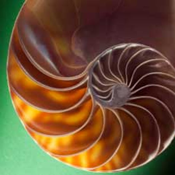 The Proof Is in the Proteins: Test Supports Universal Common Ancestor for All Life