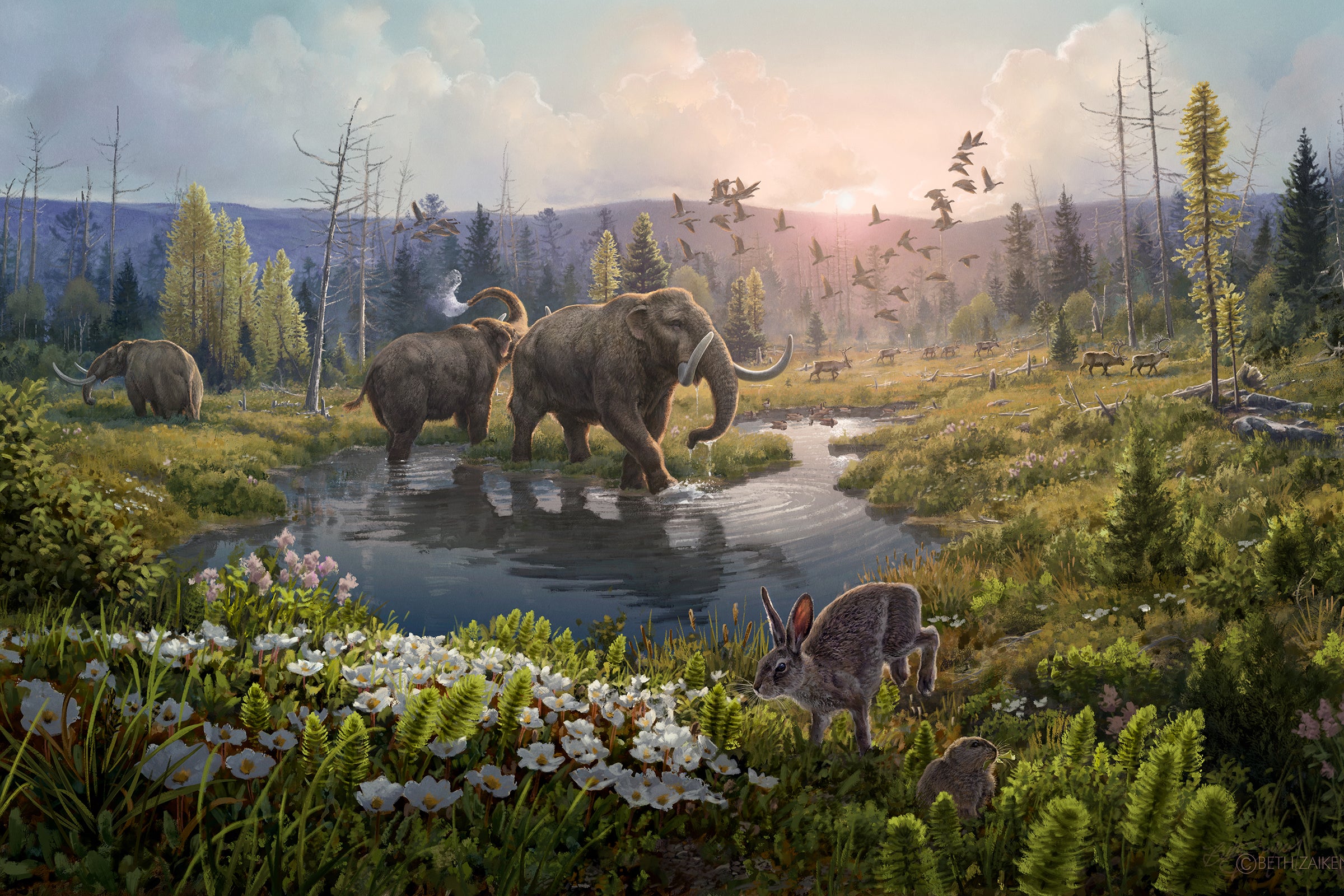 World's Oldest DNA Discovered, Revealing Ancient Arctic Forest Full of Mastodons - Scientific American