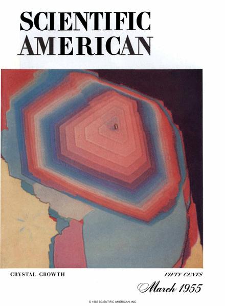 Scientific American Magazine Vol 192 Issue 3