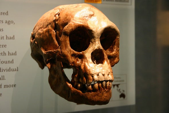 Hobbits Were a Separate Species, Ancient Chompers Show