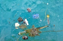 Surprising Creatures Lurk in the Great Pacific Garbage Patch