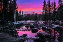 The Boulders of Lyell Canyon