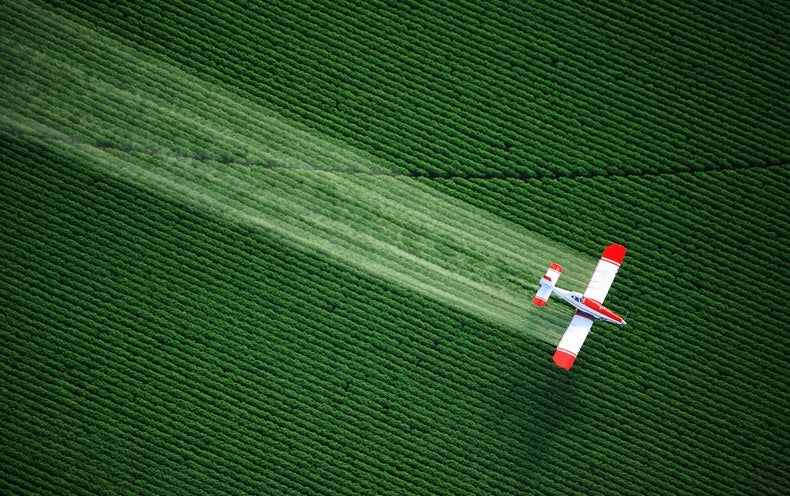 Pesticides Are Spreading Toxic ‘Forever Chemicals,’ Experts Warn