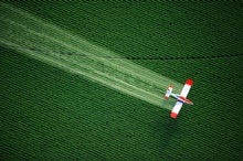 Pesticides Are Spreading Toxic 'Forever Chemicals,' Scientists Warn
