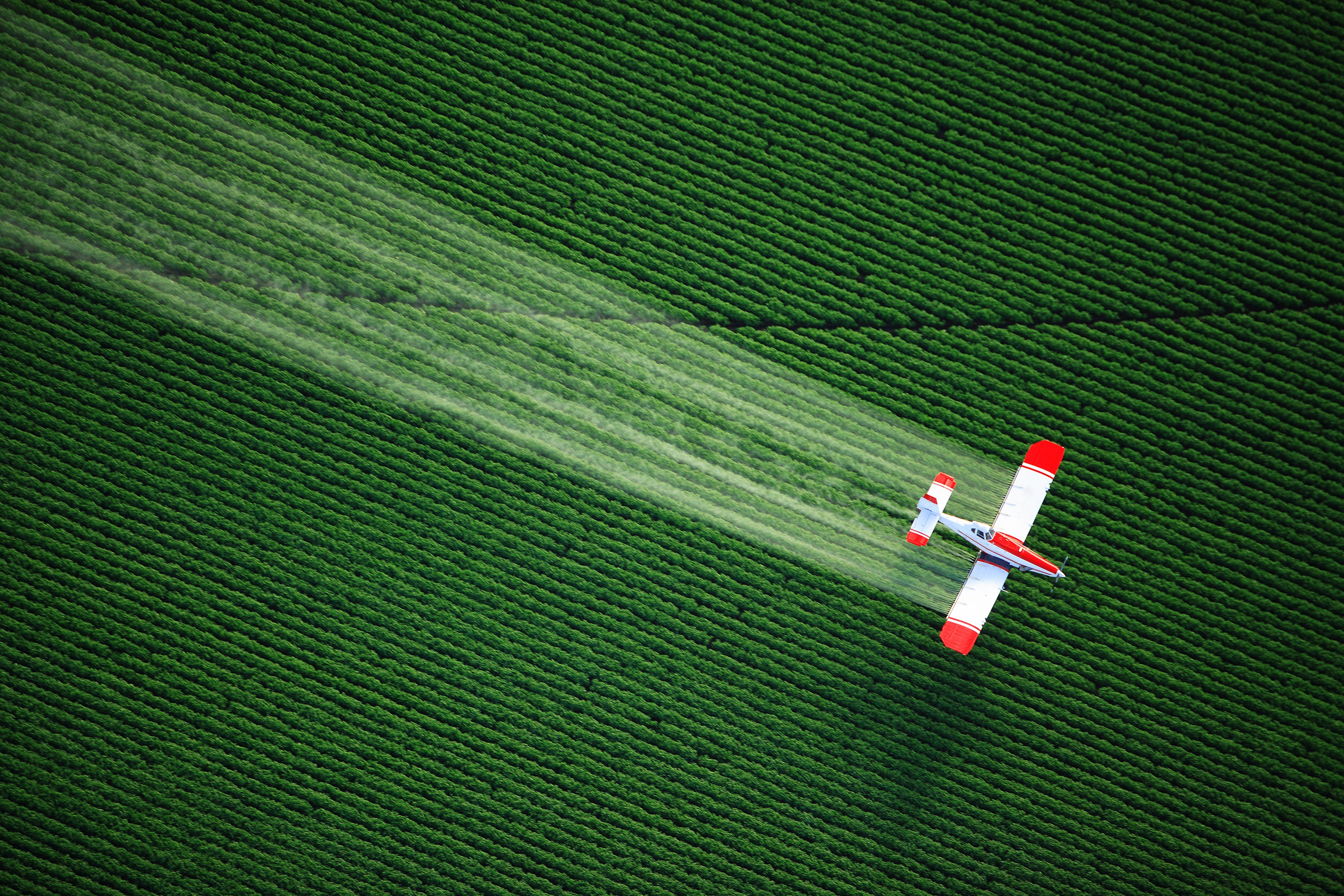 Pesticides Are Spreading Toxic 'Forever Chemicals,' Scientists Warn thumbnail