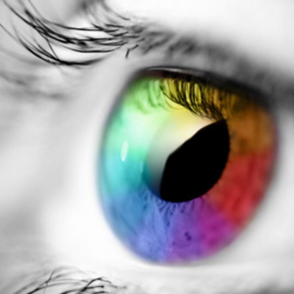 Blurring the Boundary Between Perception and Memory