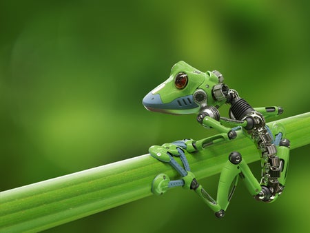 3D render of a robot treefrog on a branch