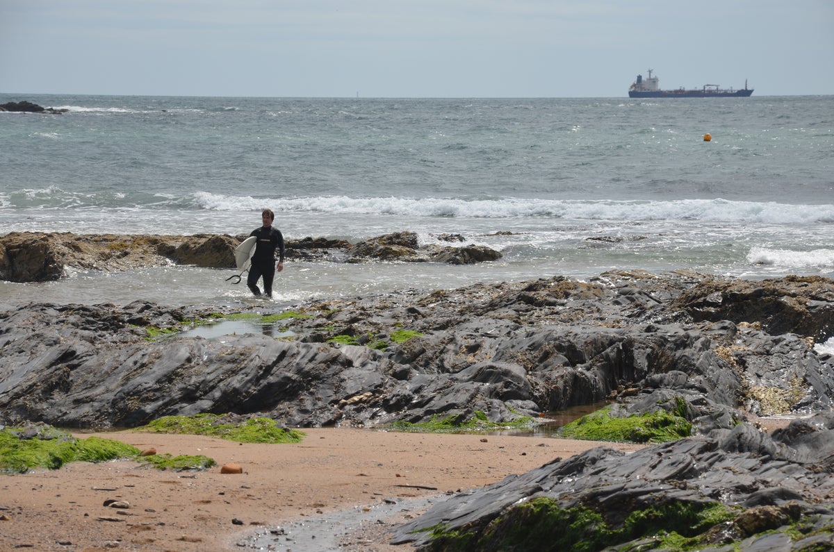 Surfing for Science: Ocean Enthusiasts Could Help Gauge Coastal Warming ...