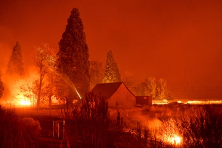 Small shed surrounded by trees in burning wildfire.