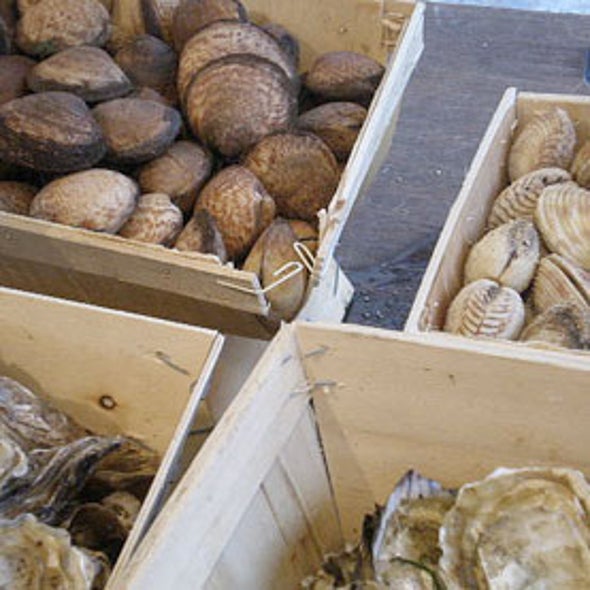 Ocean Acidification Threatens Global Fisheries