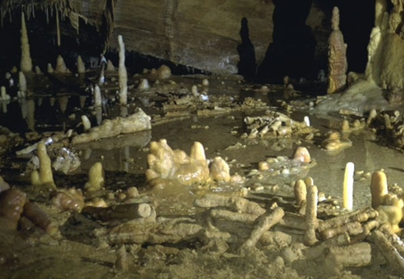Neandertals Built Cave Structures--and No One Knows Why